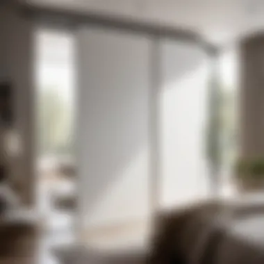 Sleek Minimalism Modern minimalist bedroom with sleek sliding pocket door
