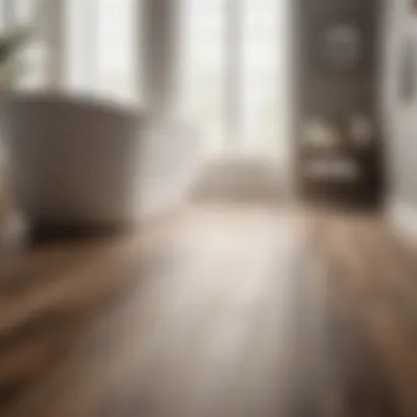 Modern Vinyl Plank Bathroom Flooring