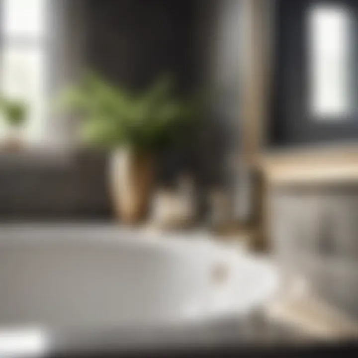 Elegant Bathroom Environment