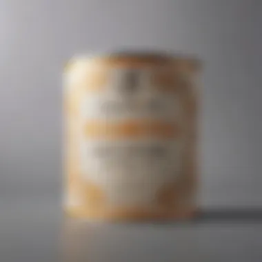 Close-up of moisture-resistant paint can with label details