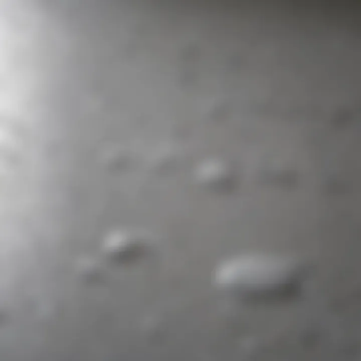 Close-up of moisture-resistant paint texture suitable for humid environments