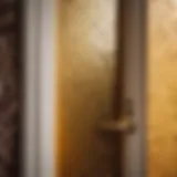 Mold Growth Close-Up on Bathroom Door