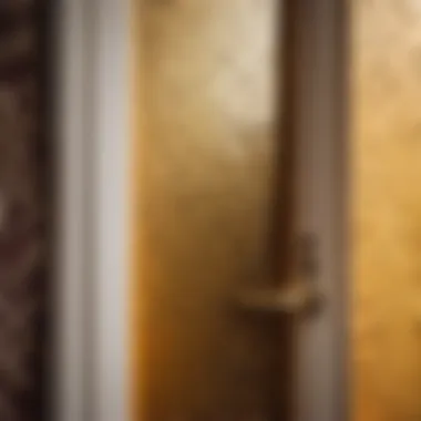 Mold Growth Close-Up on Bathroom Door