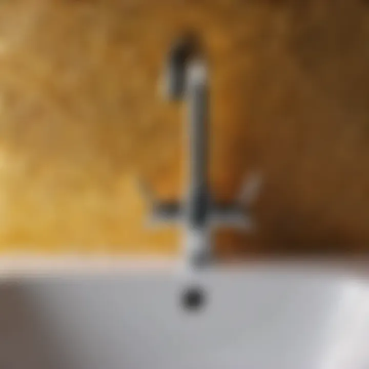 Mold Growth Prevention