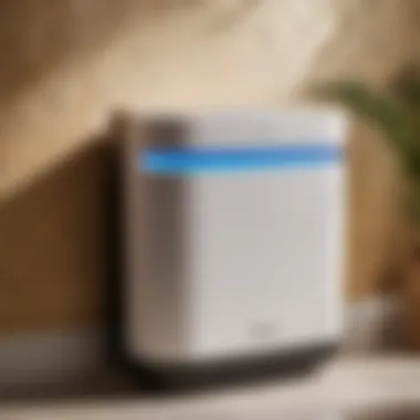 Preventing mold with dehumidifiers