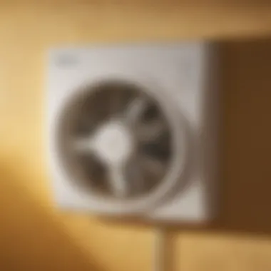 Combatting Mold Growth Mold Prevention with Wall-Mounted Fan