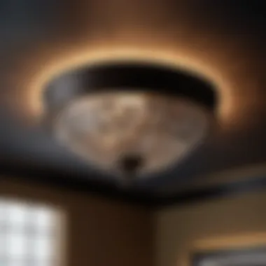 Mystical Charcoal Ceiling Light Fixture Mystical Charcoal Ceiling Light Fixture