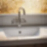 Eco-Friendly Cleaning Solutions Natural cleaner ingredients for bathroom sink drain