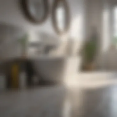 Eco-Friendly Cleaning Ingredients Natural Cleaning Ingredients for Bathroom Tiles