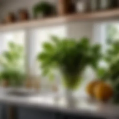 Enchanting Botanicals Refreshing Greenery in Kitchen