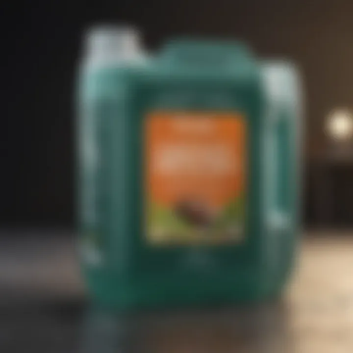 Pure Plant-Based Formulation Natural Ingredients in Environmentally Friendly Detergent