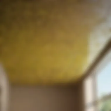 Using Natural Solutions for Mold Removal Natural Mold Cleaning Solutions