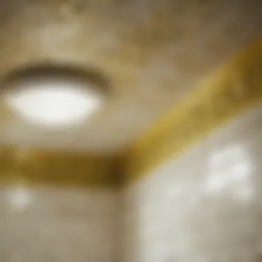 Natural Remedies for Mildew on Bathroom Ceiling