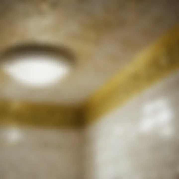 Natural Remedies for Mildew on Bathroom Ceiling