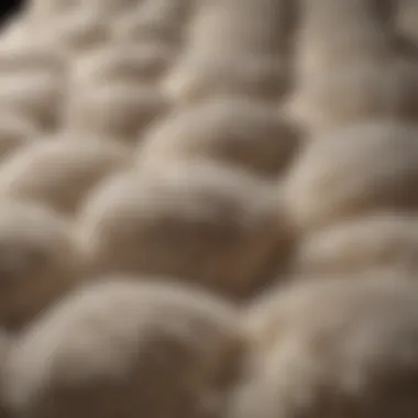 Pure Comfort Close-up of natural wool fibers in twin XL mattress topper