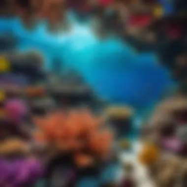 Underwater Coral Reef in Vibrant Hues