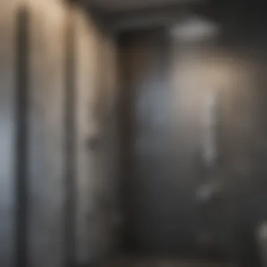 Innovative Noland Shower System Innovative Noland Shower System with modern features