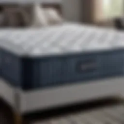Luxurious Queen Size Novaform Mattress