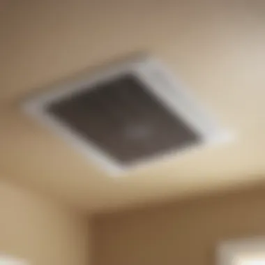 Simple Maintenance Routine Maintenance of Nutone bathroom vent fan with light