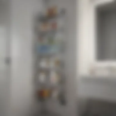 Vertical storage rack for cleaning products