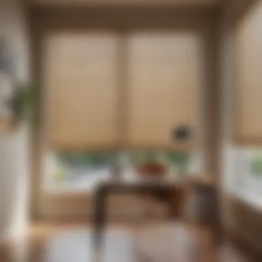 Natural Light Enhancement with Premium Blinds Natural light filtering through high-quality blinds in a home office