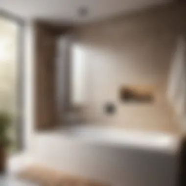 Minimalist Shower Over Bath Interior