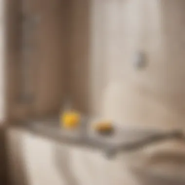 Optimize Your Shower Routine with a Bath Tray