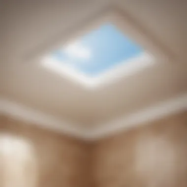 Enhanced Ventilation Through a Bath Fan Roof Vent System An illustration showing the airflow improvement with a bath fan roof vent