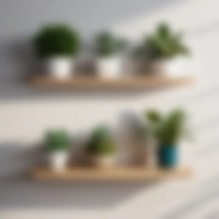 Minimalist modular wall shelves with books and plants