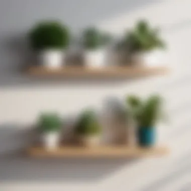 Versatile Modular Wall Shelves Minimalist modular wall shelves with books and plants