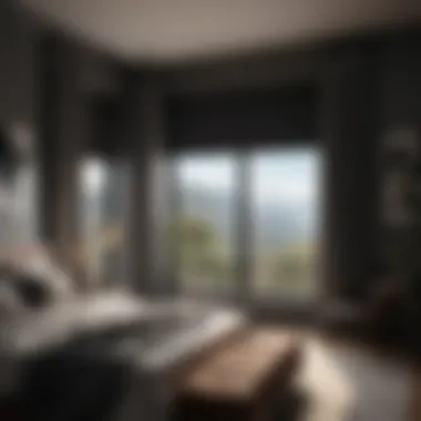 Modern bedroom window with blackout shades