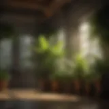 Thriving Indoor Greenery Lush green indoor plants thriving under grow lights