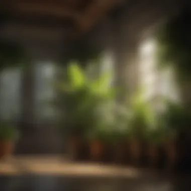 Thriving Indoor Greenery Lush green indoor plants thriving under grow lights