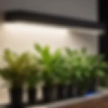 Optimal Spectrum Selection for Indoor Plants Spectrum selection for indoor plants under LED light