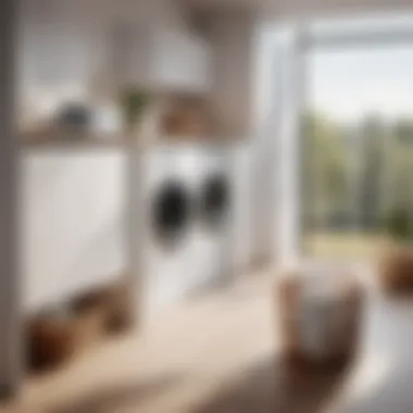 Innovative Laundry Approach Revolutionary laundry organization solution