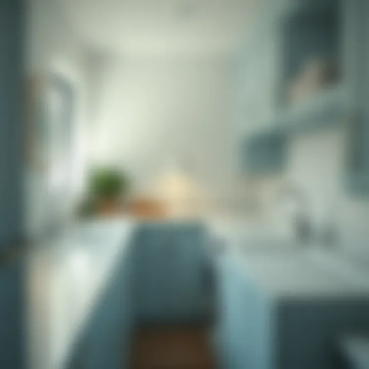 Ergonomic Laundry Workflow Ergonomically designed laundry room with practical workflow