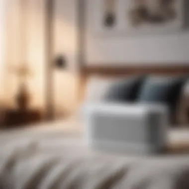 Elegance in Simplicity: White Noise Machine Features Minimalist White Noise Machine Features