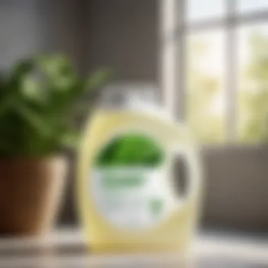 Plant-Powered Laundry Solution Organic laundry detergent with plant-based extracts