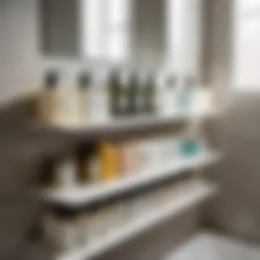 Organized Toiletries in Bathroom