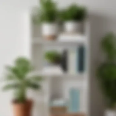 Functional Bookshelf Organization Organized white bookshelf with books and plants