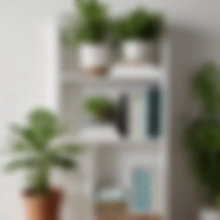 Functional Bookshelf Organization Organized white bookshelf with books and plants