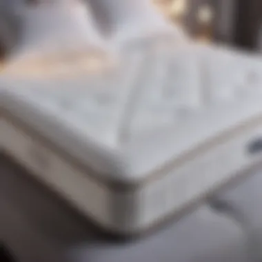 Ergonomic Orthopedic Mattress Design Orthopedic Support Mattress in Leeds