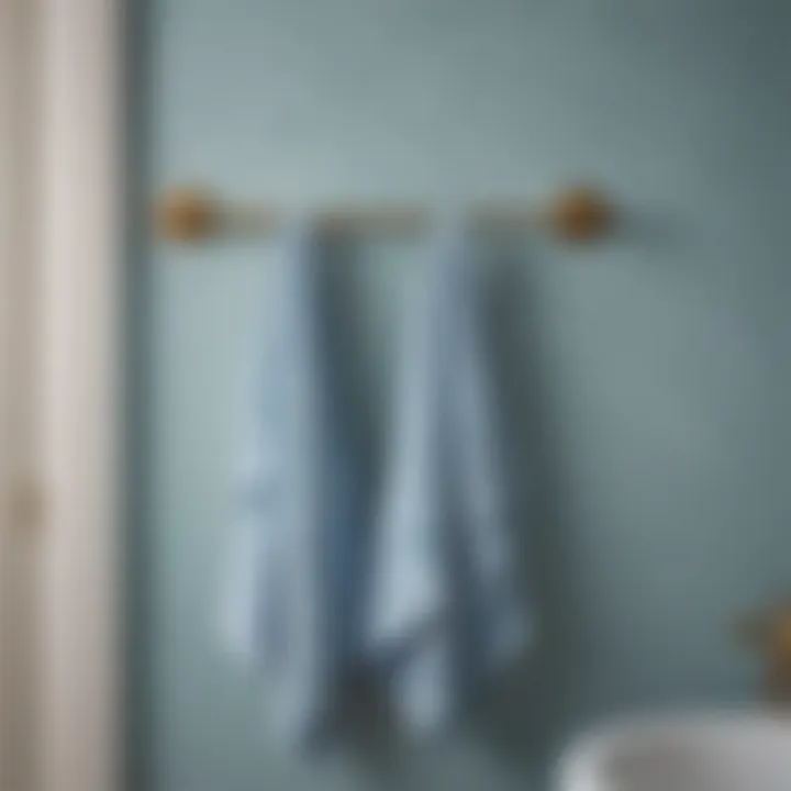 Elegance on Brass Display Pale blue bath towels hanging elegantly on a polished brass towel rack