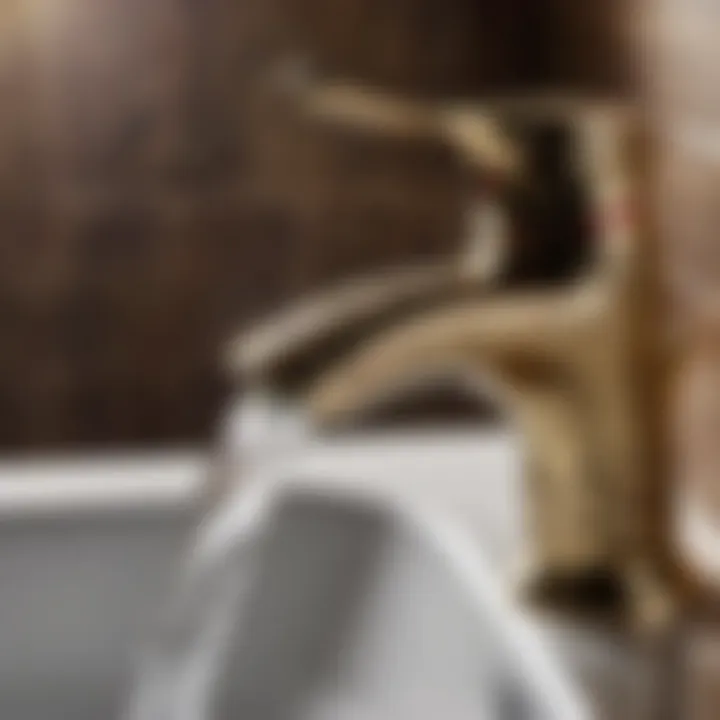 Detailed Close-Up of Paloma Single Hole Faucet Paloma Single Hole Faucet Close-Up Detail