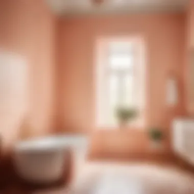 Chic Peach Bathroom Decor Peach Paint Color Bathroom Accessories