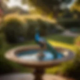 Exquisite Peacock Solar Birdbath Design