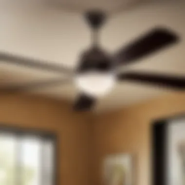 Sleek and Functional Ceiling Fan with LED Light Sleek and Functional Ceiling Fan with LED Light