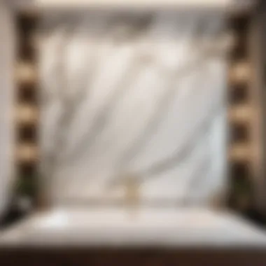 Elegant Marble Bathroom Wall