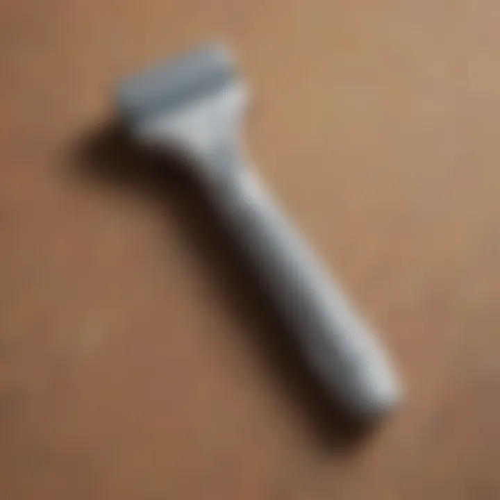 Elegant pet hair removal tool on fabric