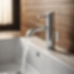 Elegant Faucet Design
